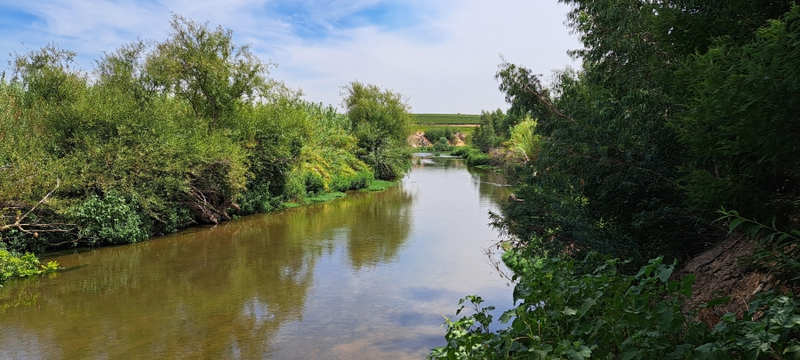 3 Bedroom Property for Sale in Wellington Rural Western Cape